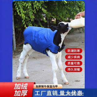 ţ���R��Сţ�Ӻ�����R��ţ���ӱ�ů��ˮ�����Bţ����ţ��������