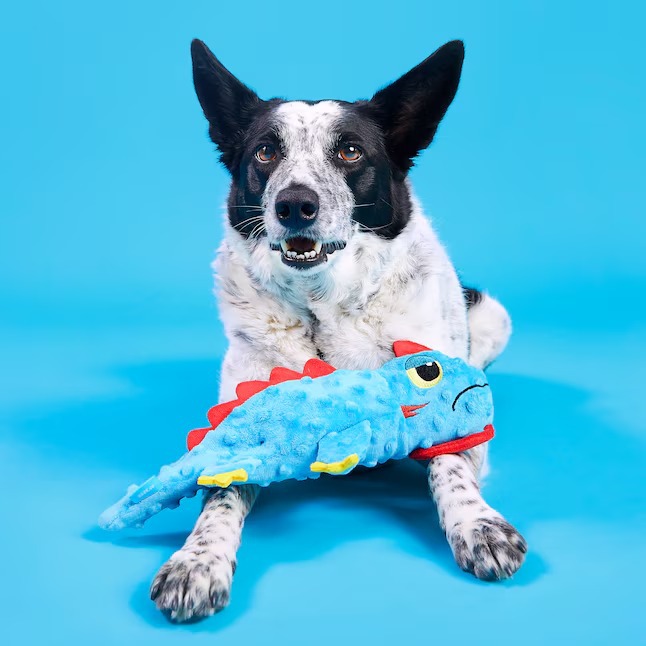 Productos transfronterizos para mascotas lagarto bb llamado sonido mascotas juguetes de peluche juguetes perros no mordidos comercio exterior