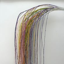 ����Gֲ��ѿ�������l�ٻ����ϻ���֦�l�Gֲ�����b�ǧ�z���l�b�