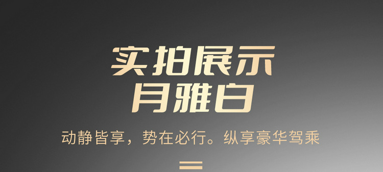 2019-23 New Toyota Asia Dragon Special Car Seat Cover Four Seasons All-inclusive Special Car Seat Cover Cushion