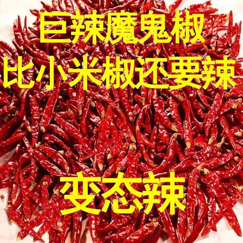 特辣干辣椒批发魔鬼椒超辣香辣微辣朝天椒辣椒面辣椒粉辣椒段