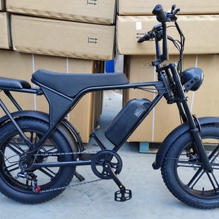 �늳��L�m��E-bike20��ѩ�ط���̥늄���������܇ԽҰِ܇�Ħ