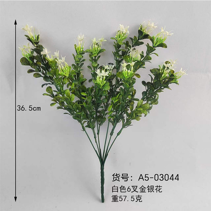 Blanco 6x honeysuckle