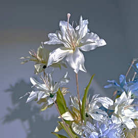 心中的白月光彷真花自带珠光质感温柔窈窕忧郁风铃绢花假花