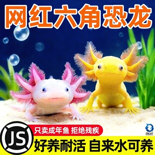 �W�t����ϔ�����~��ˮ��ˮ�~�^�p�~�����~���\���~ˮ�匙���~