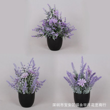 �羳؛Դ����ֲ�����Ի���޹�²ݾGֲ�ٻ������辰�҃��b[�O