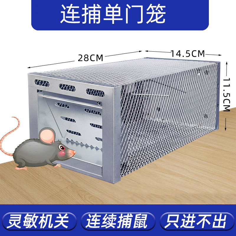 단일 케이지 업그레이드