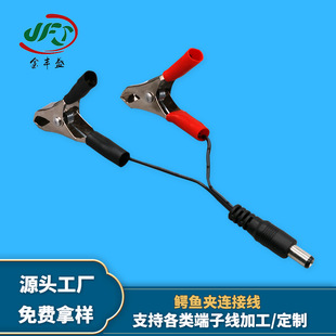 廠家供應大號紅黑測試線農場電圍欄跳線DC5521公頭轉鱷魚夾電源線