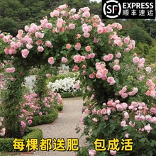 �ٱ��¼��Nޱ����W���ļ��_��������õ��ͥԺ�Gֲֲ��ͥԺֲ��