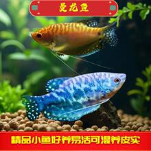�����~���w��С���~�Ꭷ�^�p�~��ˮ�~���֌����ͻ��{�S��Ե����x