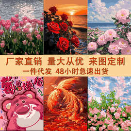 厂家批发一件代发diy数字油画玫瑰郁金香山茶花卉抖音跨境装饰画