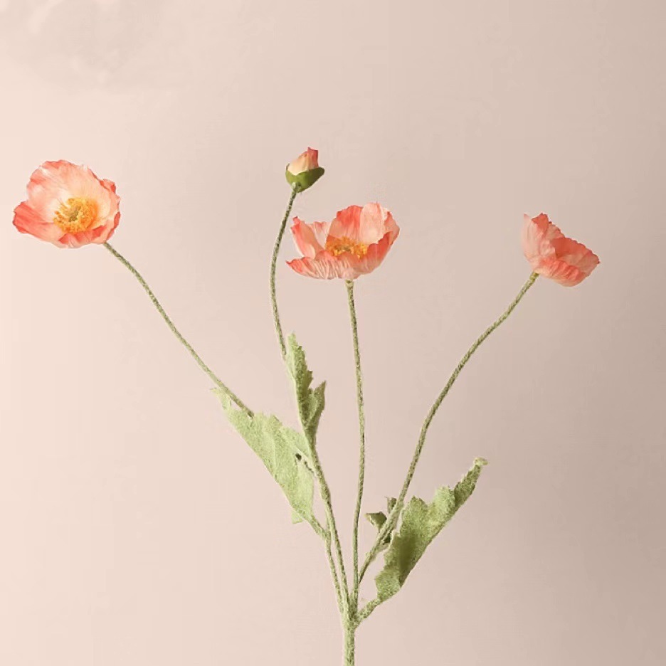 연어