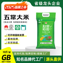 10��һ�������峣����2025�������w�����@5kg�������b���l���l