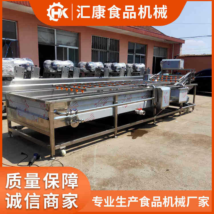 玉米鼓风清洗机 水浴式鲜花生除泥机 自动送料果疏清洗机清洗率高