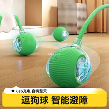 ��������Ԅ��޹�����ҧ���˶�������������С��Ȯ����С��ͻͻ��