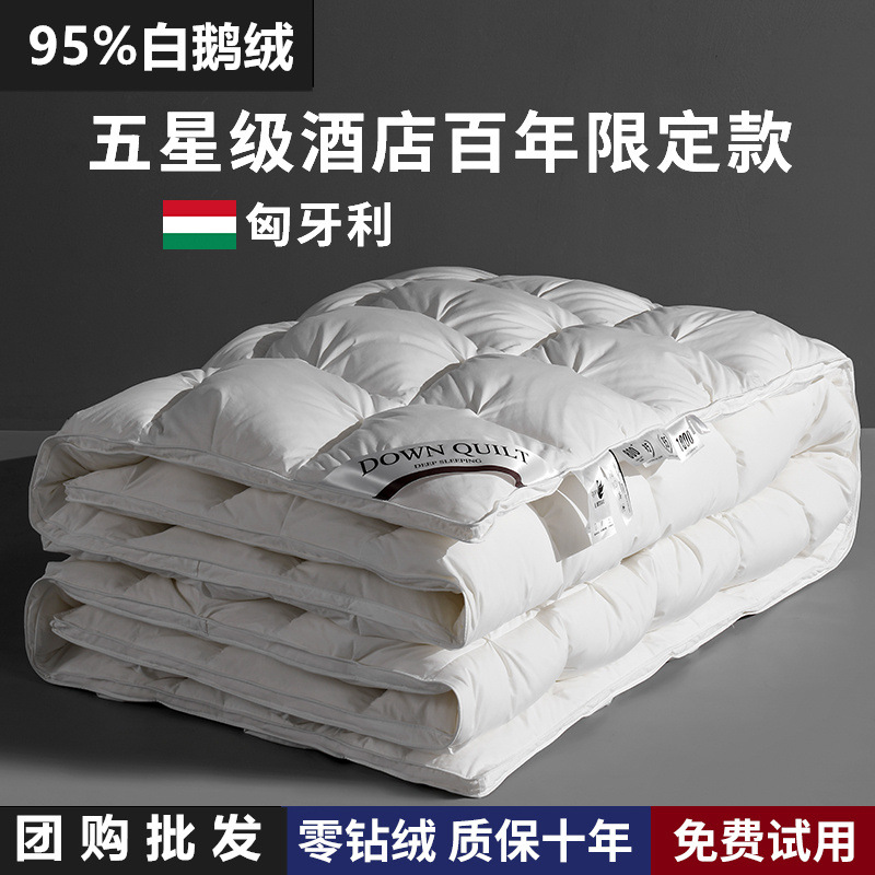 Silent down Quilt 95% White Goose down Winter Quilt Spring and Autumn Quilt Thickened for Winter Warmth Hotel Single/Double Quilt Core