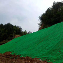 ���Sֲ���W�o���w��ֲ���o�¹������S�����W�|����ֲ���Wem5�F؛