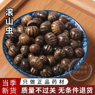 ���u�Lɽ��Lɽ�x ���_�h �Lɽ���x 250g�˰��] ɢ�b ��؛