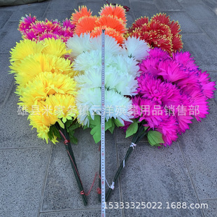 7�^�� ���뻨֦ˮ���վջ����������ٻ��ω�����������Ʒ���l