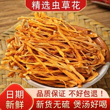 云南正品虫草花干货官方菇从煲汤旗舰店干菌菇材料金商用蛹非特级