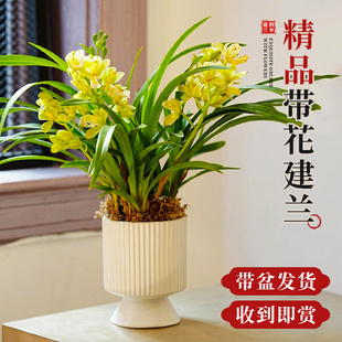 ���w�m�������Ď������l؛���F���ܽ���q���ļ��Nֲ�Gֲ�҃����l