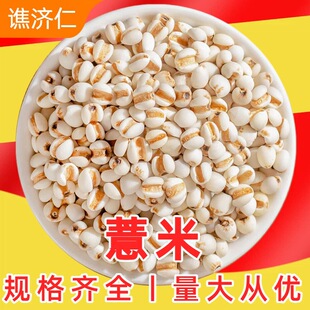 ޲��1000g�F����؛޲����޲��������s�Z��С���t���͌����߽M��