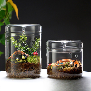 Collect Handmade Desktop Glass Micro-Landscape Cup Plant Ornamental Bottle Transparent Lighting Bottle Fish Tank Ecological Bottle