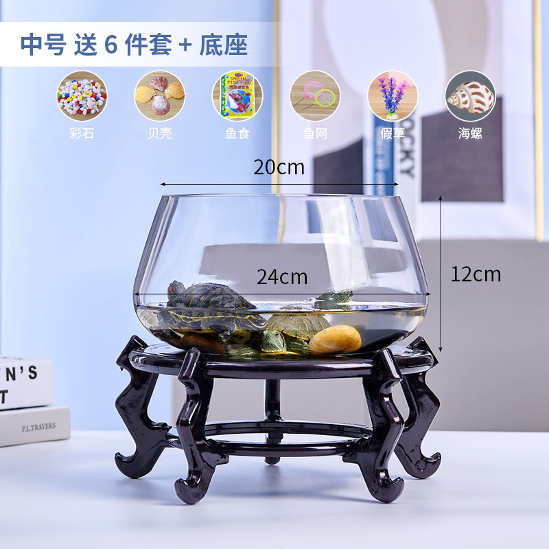 중간 거북이 실린더 컬러 스톤 6 피스 베이스