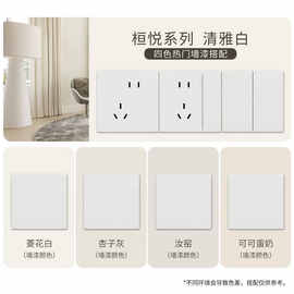 施耐德插座桓悦哑光开关面板家用一开双控86型暗装墙壁插座带开关