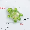 Small big-eyed frog turtle #4