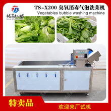 供應豪華型臭氧殺菌鼓泡式洗菜機渦流洗果機食堂蔬菜瓜果清洗設備
