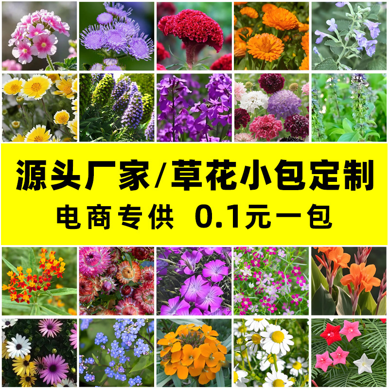 【E-Commerce Purchase】Sunflower Seeds, Wildflower Mix, Bowl Lotus, Lisianthus, Sunflower Seeds, E-Commerce Flower Seed Supply Source 【E-Commerce Purchase】Sunflower Seeds, Wildflower Mix, Bowl Lotus, Lisianthus, Sunflower Seeds, E-Commerce Flower Seed Supply Source