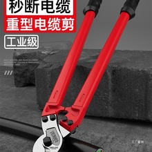 ������늚���|���������о���[���늹��քӌ���������݆����ϼ