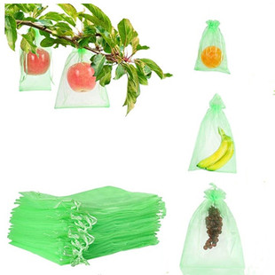 Amazon Grape Strawberry Protection Bag Insect and Bird-proof Mesh Bag Fruit Protection Mesh Bag in stock