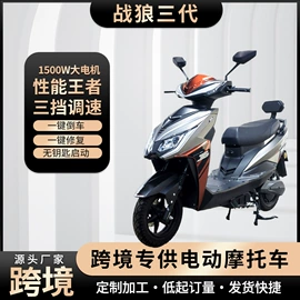 电动摩托车;其他电动车;电动自行车