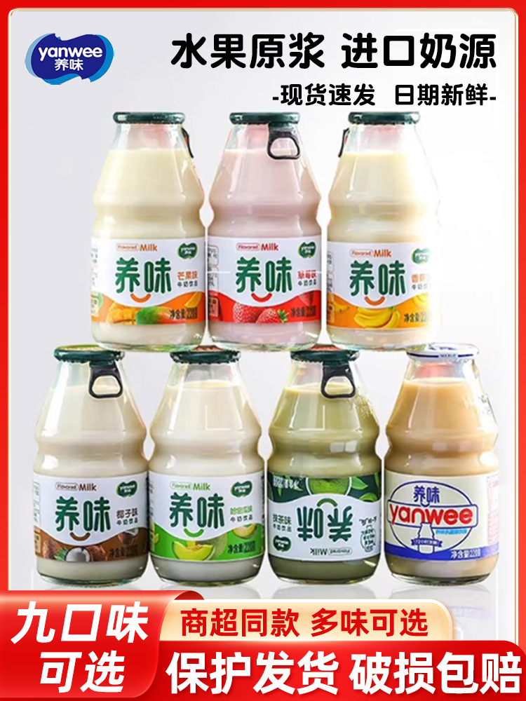 养味牛奶饮品乳酸菌芒果草莓香蕉果味220g*6瓶整箱学生早餐奶饮料