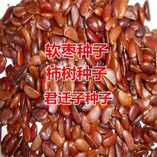 ����N�Ӿ��w�ӷN�Ӻ�����ܛ���N�Ѽ޽����Ә���Ҙ���ľ��Ұ����