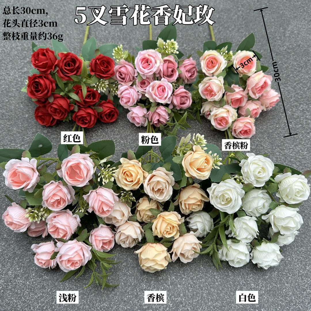 雪花香妃玫 (3).jpg