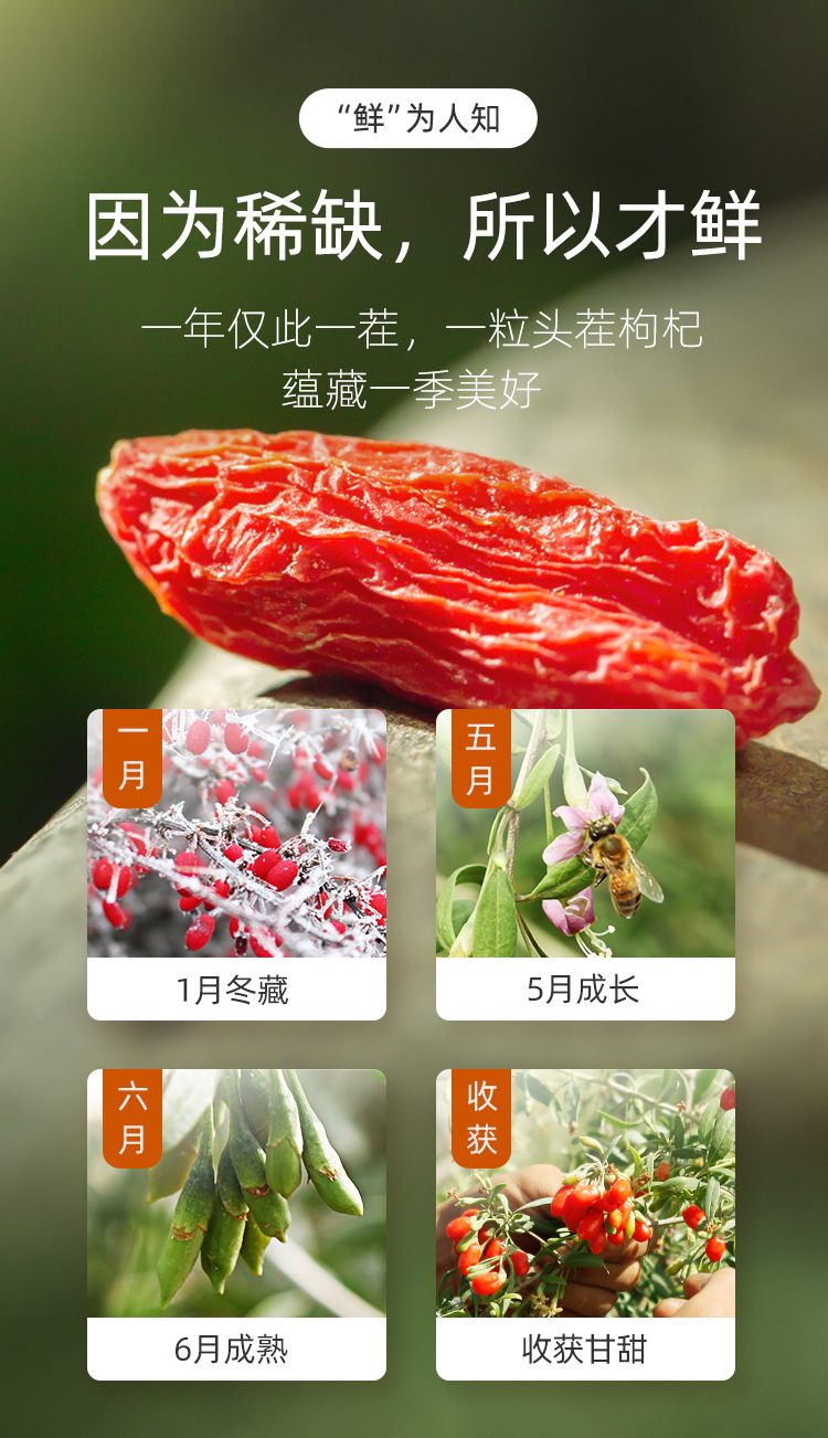 Premium Ningxia Goji Berries 200g Box First Harvest Large Grade Gou Qi Zi in use