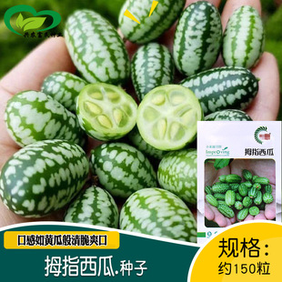 ����Ĵָ���ϷN�� �r��ˈ@���ԷNֲС���Ͽڸ����ˬ�����ϷN��