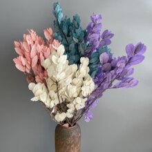 �S���~�����������~�ɻ�ֲ��ins�Ҿ��b�diy���ϰ���Ͽ羳���l