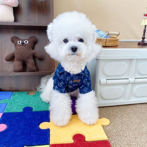Dogs and cats spring and summer denim short-sleeved shirt Korean handsome small and medium-sized dog clothes Teddy Bichon Bear Yorkshire
