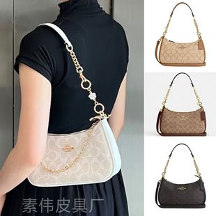 ޢ��Ҹ�°�Teri24�錢���μ��б�����Ů��