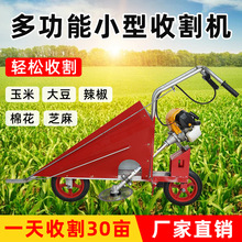 ���������ո�C���Ϳ�����ʽ�����Ͳ˸����������޻��ն��ո�C