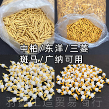 ����P�P�^�а�SA-101�|������P�P��4.5mm�����d�V�{�P������^