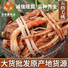 ��ָë�� ��؛�o��ë�� �䱳ș��