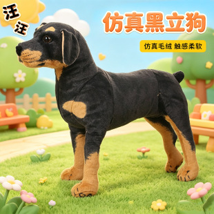 �羳���������ë�q��߹������мҾӔ[��������߃�ͯ�Y����ż