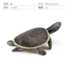 T15482 Turtle 9g