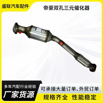 Directly Supplied from the Manufacturer, the Katalizator