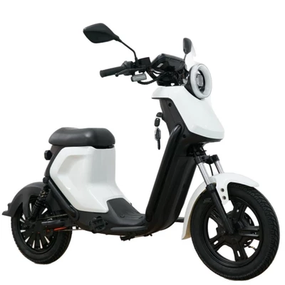 with Large Pedals, Elektrikli motosikletlər